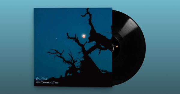 Five Dimension Place Vinyl/CD - *READ DESCRIPTION TO PLACE AN ORDER*